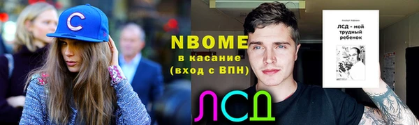 стафф Арсеньев
