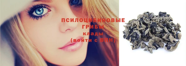 стафф Арсеньев