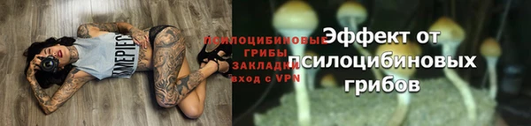 стафф Арсеньев