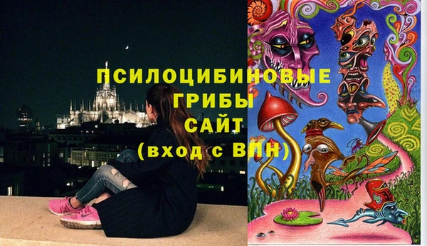 стафф Арсеньев